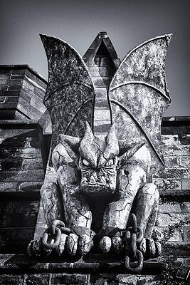 Montana Wall Art featuring the photograph Wicked Wings by Ghostwinds Photography