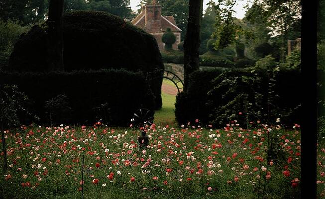 Rural Scene Photograph - Wild Flowers At Reddish House by Cecil Beaton