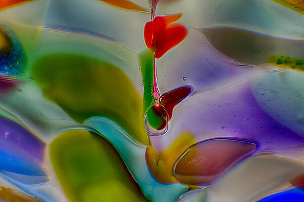 Photograph - Wind Flower by Omaste Witkowski