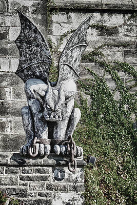 Montana Wall Art featuring the photograph Wing And A Prayer by Ghostwinds Photography