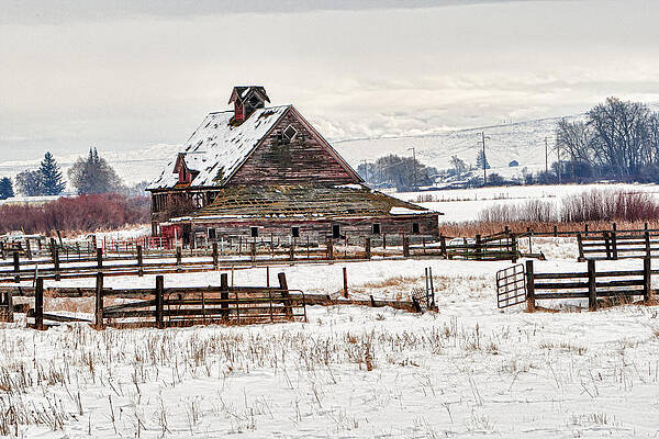 Sky Photograph - Winter Barn by Mary Jo Allen