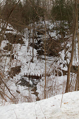 Winter Photograph - Winter Creek by William Norton