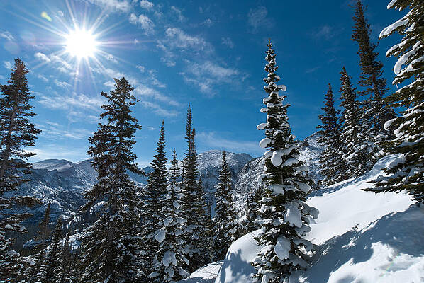 Rocky Mountain National Park Photograph - Winter Morning Sunlight by Cascade Colors