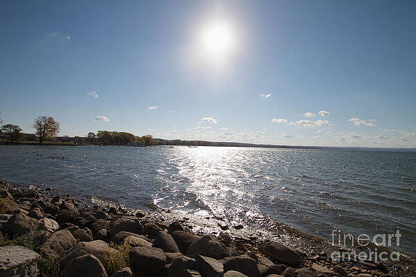 Winter Photograph - Winter Sun by William Norton