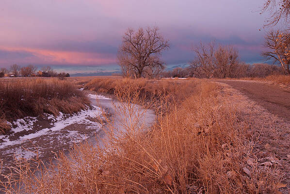 Colorado Photograph - Winter Sunrise At Barr Lake State Park by Cascade Colors