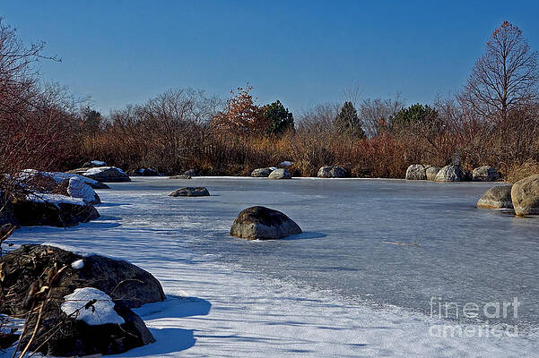 Winter Photograph - Winter Walk Through The Prairie by Natural Focal Point Photography