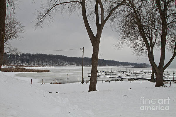 Winter Photograph - Winter by William Norton