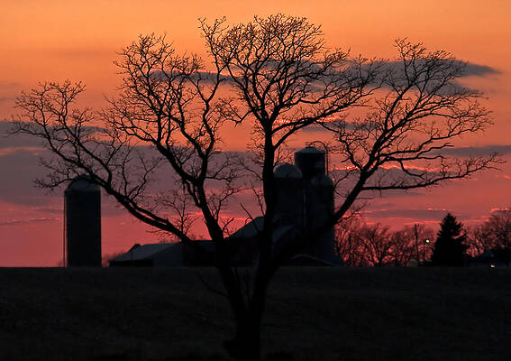 Fall Photograph - Wisconsin Farmland In Autumn by Natural Focal Point Photography