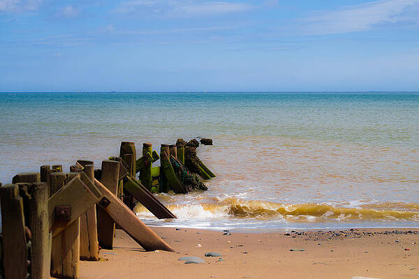 Photograph - Withernsea Groynes by Scott Lyons