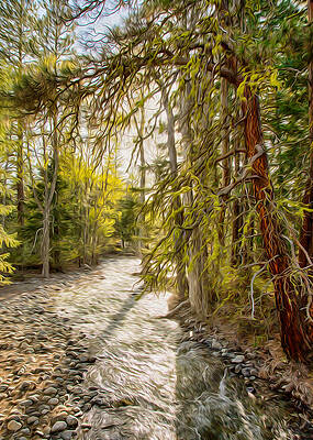 Nature Photograph - Wolf Creek Afternoon Light by Omaste Witkowski