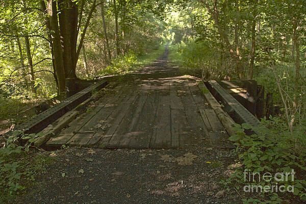 Architecture Wall Art featuring the photograph Wooden Bridge by William Norton