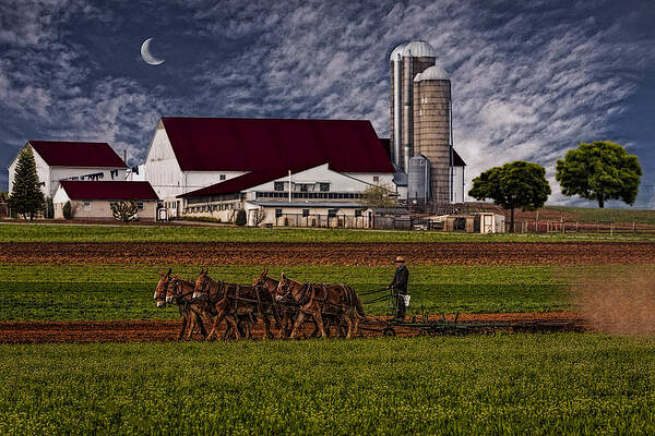 Country Photograph - Working The Fields by Susan Candelario