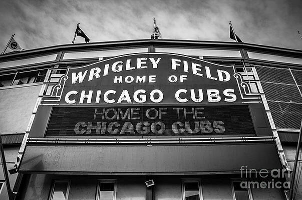 Illinois Wall Art featuring the photograph Wrigley Field Sign In Black And White by Paul Velgos