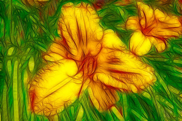 Summer Painting - Yellow Day Lilies by Omaste Witkowski
