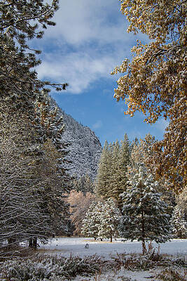 Winter Photograph - Yosemite After Snow Storm by Natural Focal Point Photography