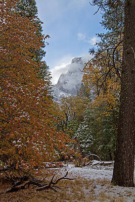 Fall Photograph - Yosemite In Fall by Natural Focal Point Photography