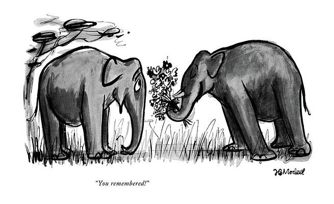 Elephants Sharing a Gift Wall Art