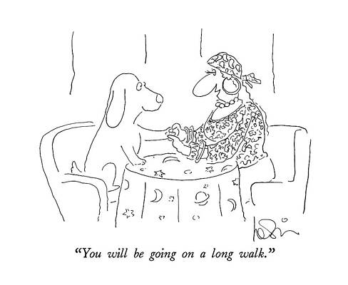 Dog's Fortune Told by Psychic Drawing