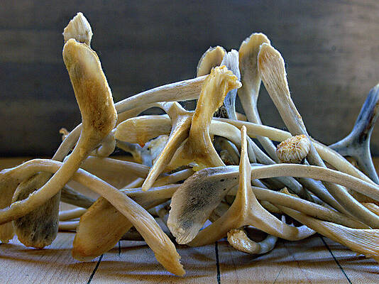 Wall Art featuring the photograph Your Wishes Await by Joe Schofield