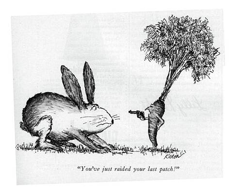 Rabbit Confronted by Carrot with Gun Drawing