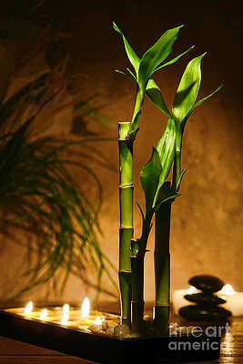 Bamboo and Stones with Candlelight Wall Art