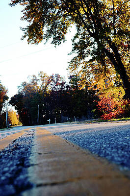 Tree Wall Art featuring the photograph Autumn Road #1 by La Dolce Vita