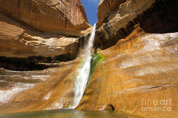 Utah Photograph - Calf Creek Falls #1 by Adam Jewell