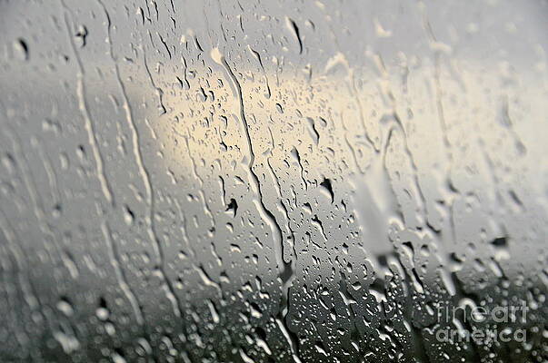 Wall Art featuring the photograph Car Windshield With Water Drops #1 by Sami Sarkis Photography