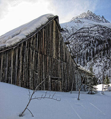 Photograph - Compressor Shack #1 by Fred Denner