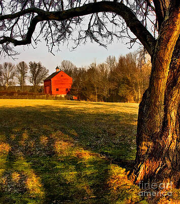 Country Photograph - Country Life #1 by Susan Candelario