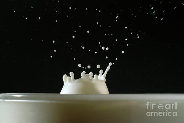 Wall Art featuring the photograph Drop Of Milk Splashing In A Glass #1 by Sami Sarkis Photography