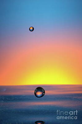 Wall Art featuring the photograph Faling Droplet Into Water Surface #1 by Sami Sarkis Photography