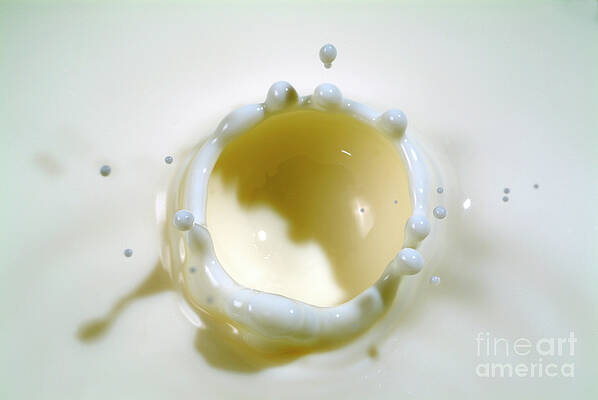 Wall Art featuring the photograph Milk Splashing Into The Air #1 by Sami Sarkis Photography