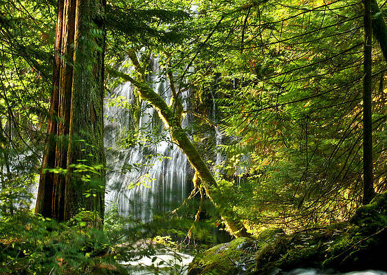 Nature Photograph - Panther Creek #2 by Jean Noren