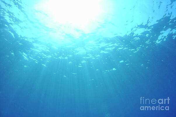 Nature Wall Art featuring the photograph Rays Of Sunlight Shining Into Water #1 by Sami Sarkis Photography