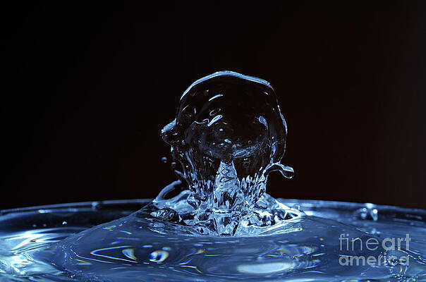 Wall Art featuring the photograph Splashing Water Droplet Shaping Human Profile #1 by Sami Sarkis Photography