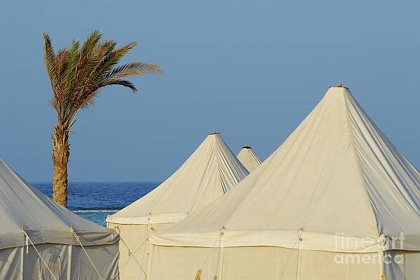 Beach Wall Art featuring the photograph Tents On Beach #1 by Sami Sarkis Photography