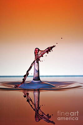 Wall Art featuring the photograph Water Drops Colliding To Shape An Umbrella Splash #1 by Sami Sarkis Photography