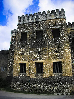 Tanzania Photograph - Zanzibar Old Fort #1 by Darcy Michaelchuk