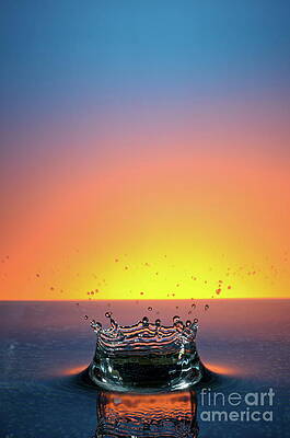 Wall Art featuring the photograph Splashing Water Droplet #12 by Sami Sarkis Photography