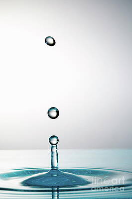 Wall Art featuring the photograph Splashing Water Droplet #13 by Sami Sarkis Photography