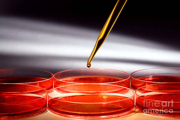 Wall Art featuring the photograph Biotechnology Experiment In Science Research Lab #2 by Science Research Lab