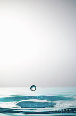 Wall Art featuring the photograph Faling Droplet Into Water Surface #2 by Sami Sarkis Photography