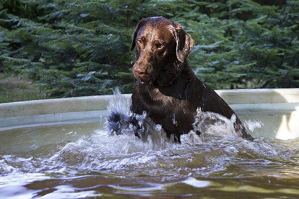 Water Wall Art featuring the photograph Nute #2 by Jean Noren