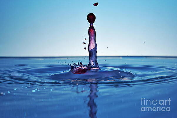 Wall Art featuring the photograph Splashing Water Droplet #2 by Sami Sarkis Photography