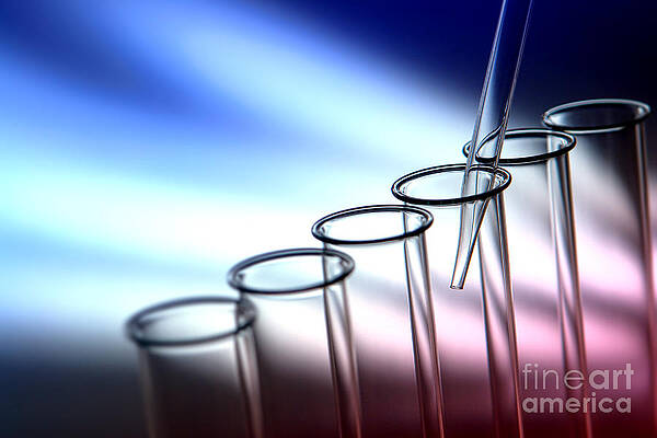 Wall Art featuring the photograph Laboratory Test Tubes In Science Research Lab #3 by Science Research Lab