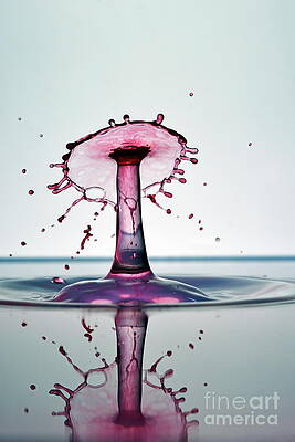 Wall Art featuring the photograph Water Drops Colliding To Shape An Umbrella Splash #3 by Sami Sarkis Photography