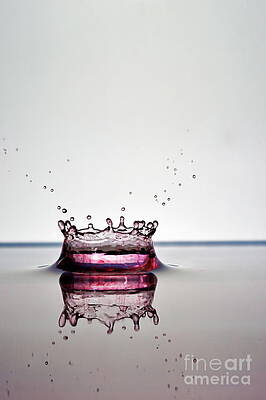 Wall Art featuring the photograph Splashing Water Droplet #4 by Sami Sarkis Photography