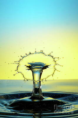 Wall Art featuring the photograph Water Drops Colliding To Shape An Umbrella Splash #4 by Sami Sarkis Photography