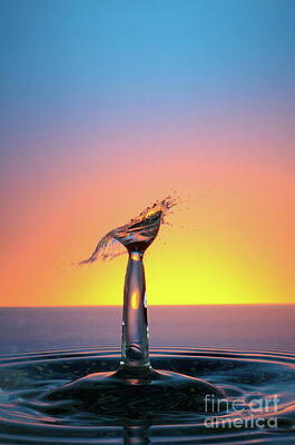 Wall Art featuring the photograph Water Drops Colliding To Shape An Umbrella Splash #5 by Sami Sarkis Photography